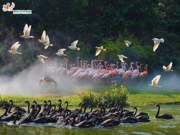 办什么卡旅游免费,厦门旅游年卡免费政策