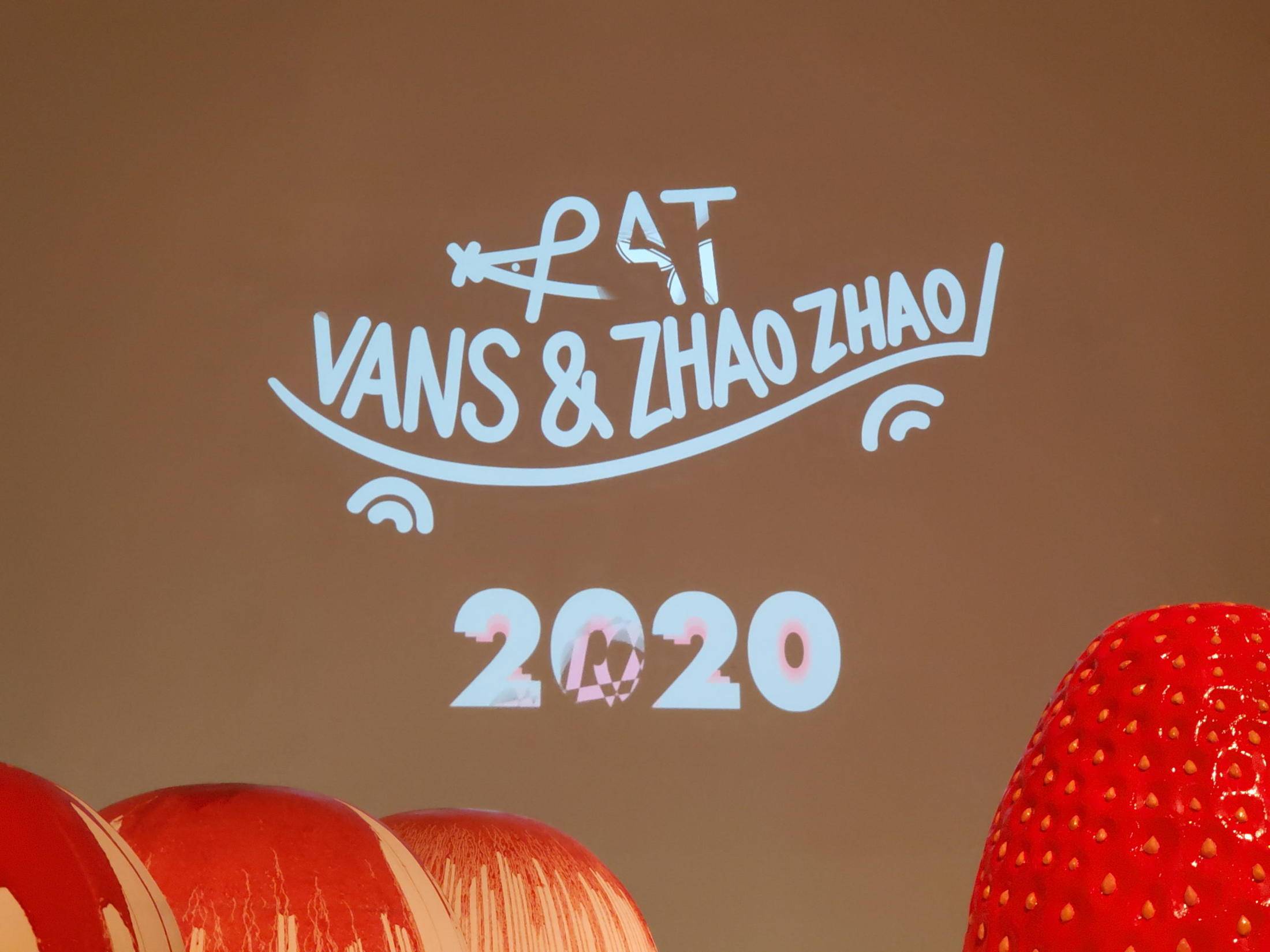 vans鼠年,vans鼠年有什么限定鞋