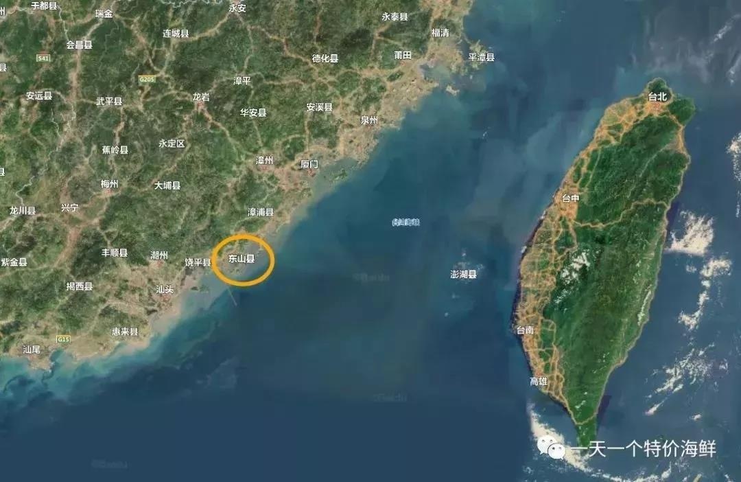 渔家女事件,渔家女海鲜视频