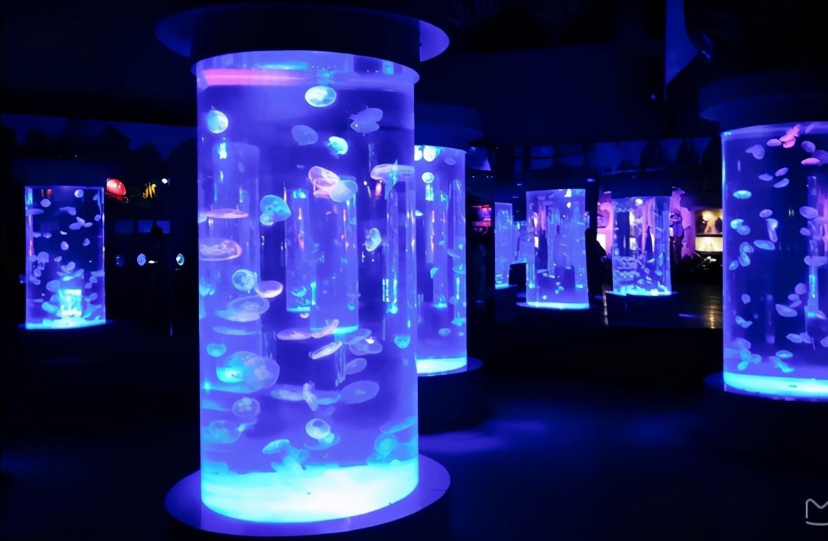 辽宁省14个市抚顺排第几,辽宁抚顺都有哪些区