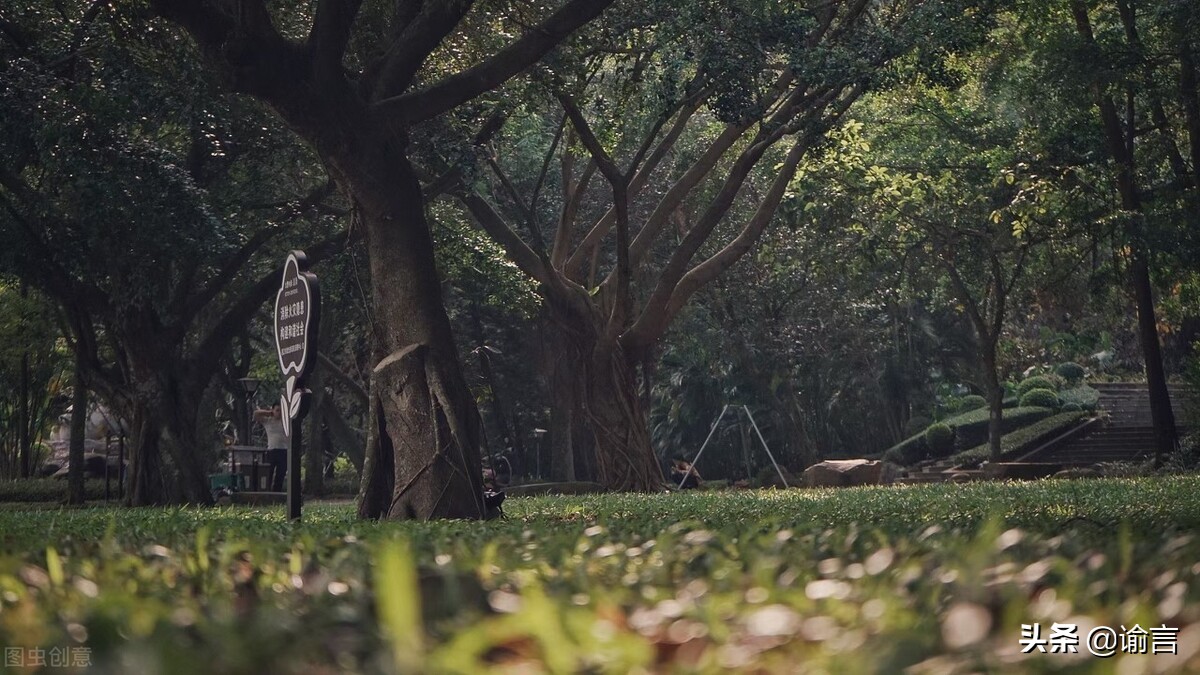 湛江湖光岩五一攻略,湛江湖光岩一日游攻略