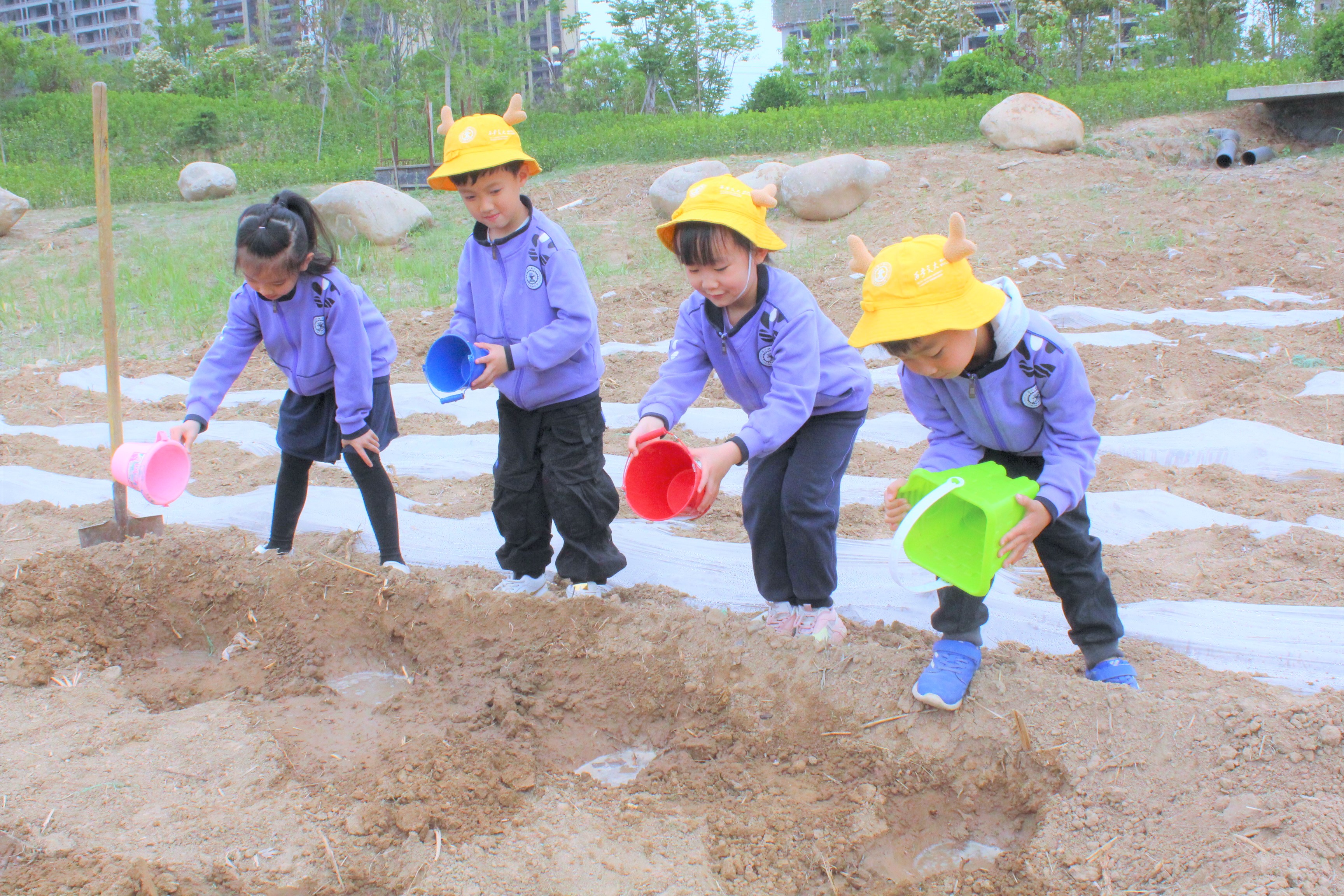 西安交大韩城学校幼儿园2022年,韩城西安交大幼儿园