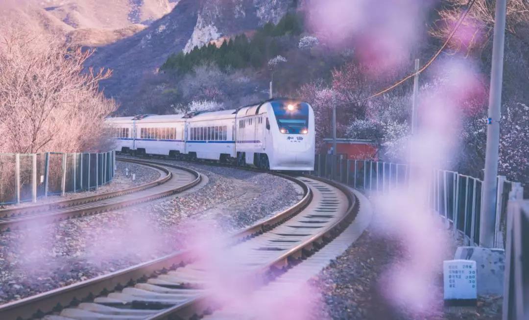 戴口罩的春节,戴口罩的冬天过去了