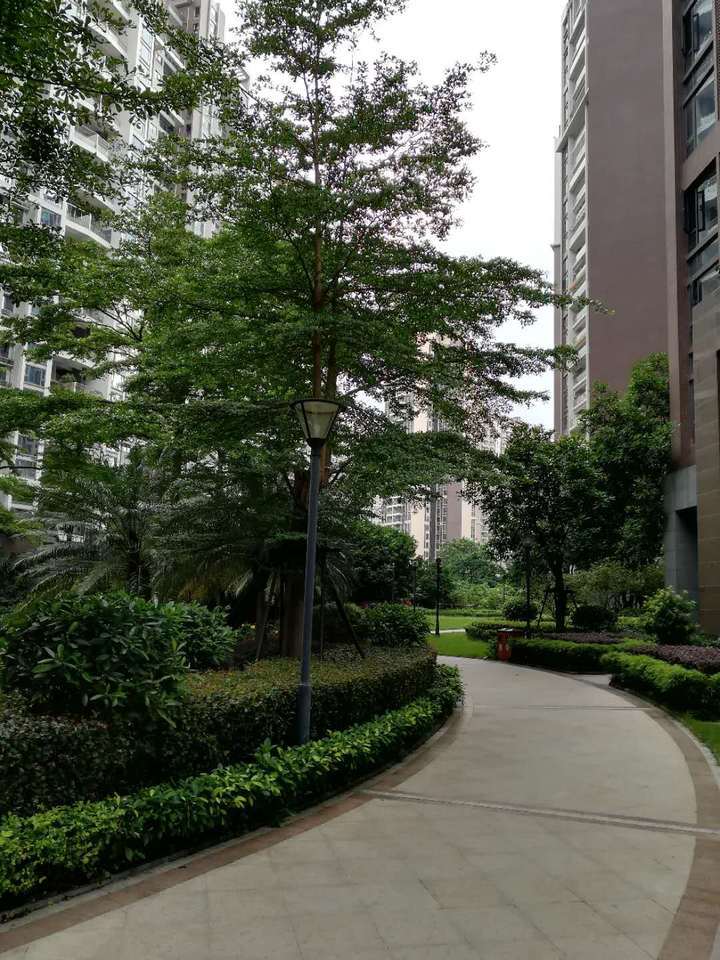 湛江京基城开盘价格,湛江京基城出售