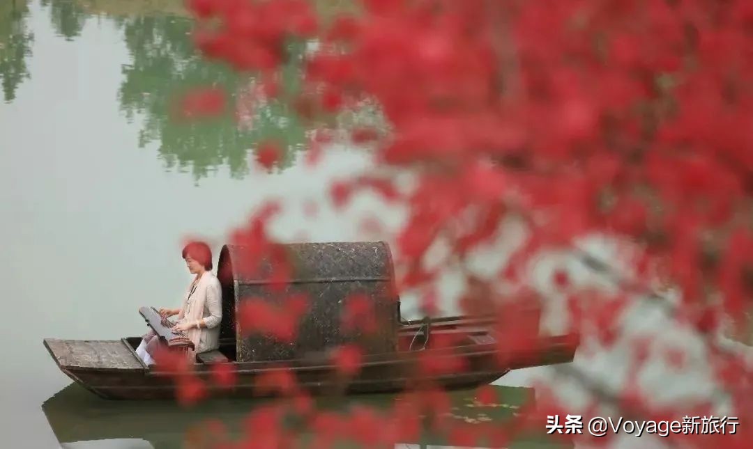 你是我的荣耀齁甜,你是我的荣耀结局甜吗