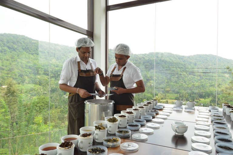 日本红茶饮料品牌,日本小众红茶