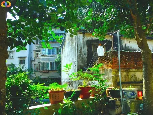 从平安路到桃园路的旧街，独属于老香洲的记忆