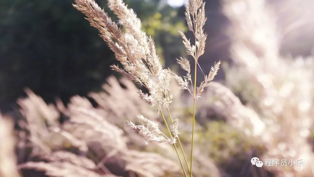 3D妯″瀷瀛︿範,3d妯″瀷寤烘ā瀛︿範