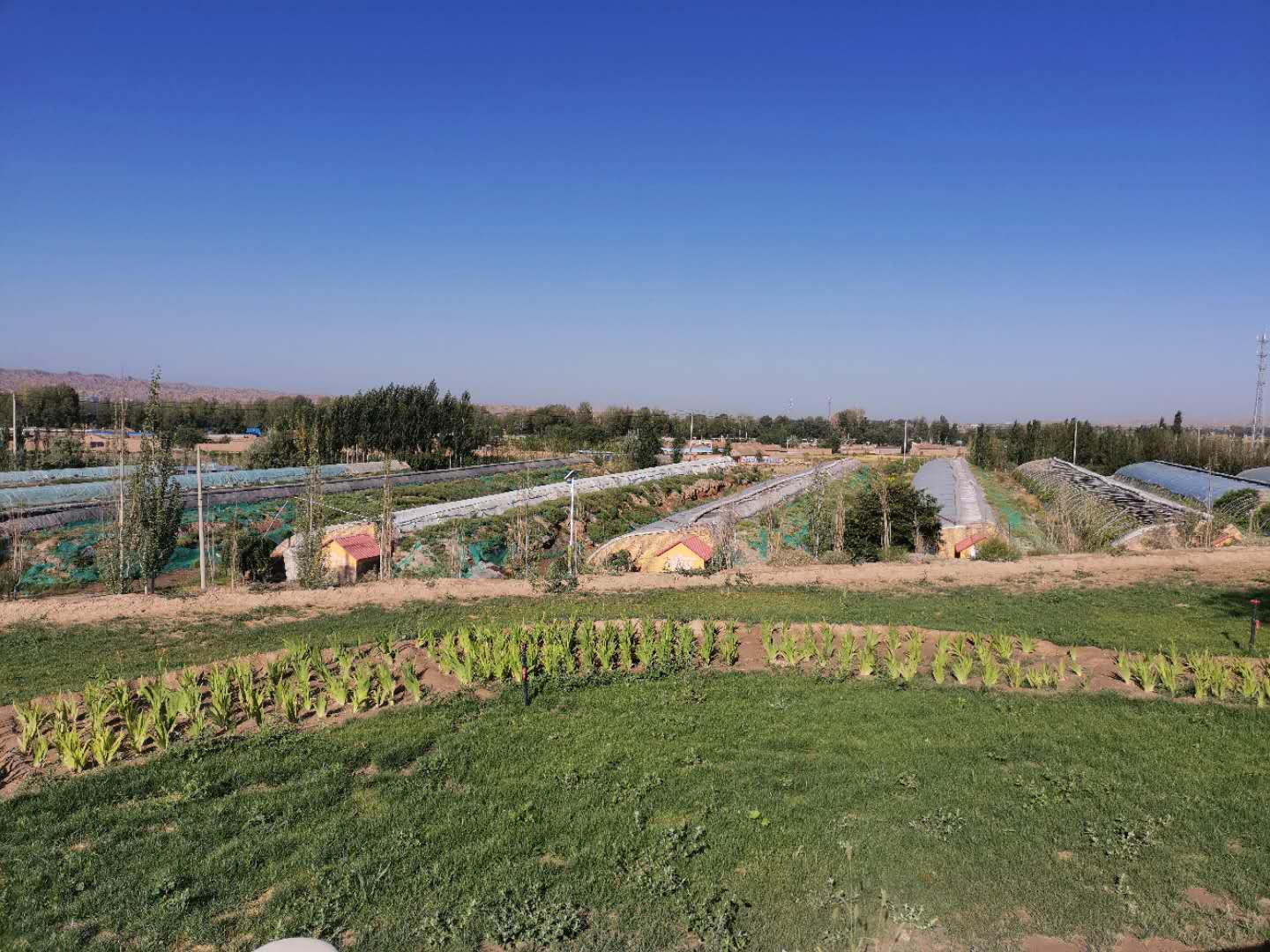 鬼哥的五万里D20张掖市山丹县-张掖市临泽县