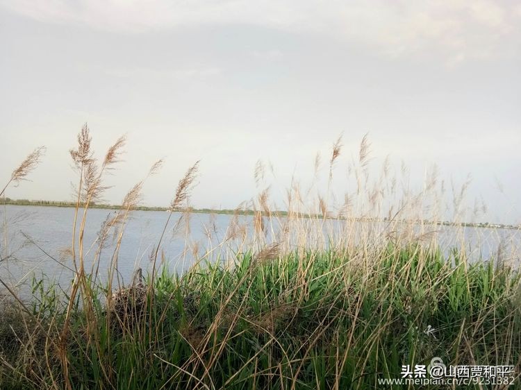 清风徐来水波不兴边款,清风徐来水波不兴图