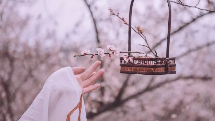 诗词中难读的20个字,诗词中难以启齿的19个字