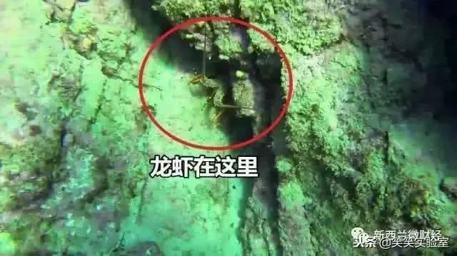 黑帮都用什么货币,黑帮的硬通货