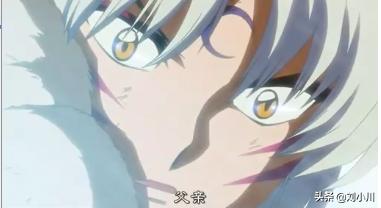 杀生丸喜欢桔梗吗,杀生丸喜欢神乐还是铃木