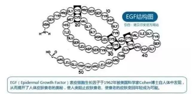 干粉冷冻,冷冻干粉的作用和功效
