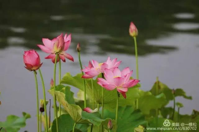 西乡周边景色美的地方,西乡哪里有夜景好看的