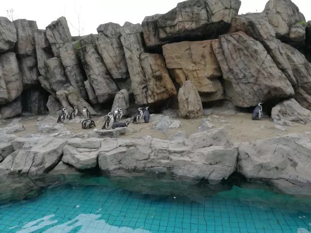 在上海迪士尼怎么玩比较快呢,在上海迪士尼玩一整天