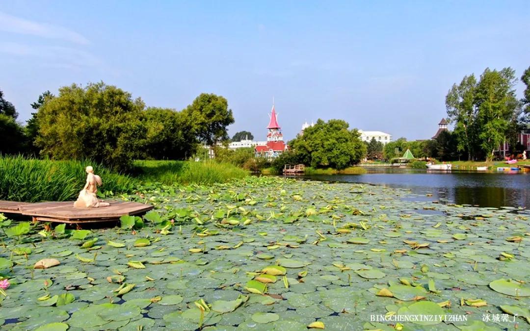 伏尔加庄园有意思吗,伏尔加庄园有什么特色