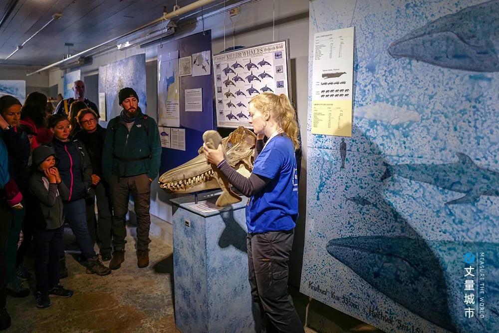 维京遇到全域旅游,美丽乡村、特色小镇一网打尽:挪威渔业史漫步