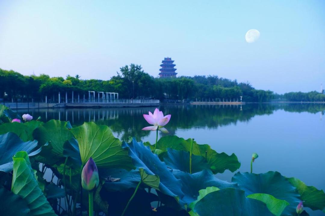 迁安的美景介绍,迁安一年四季美景图