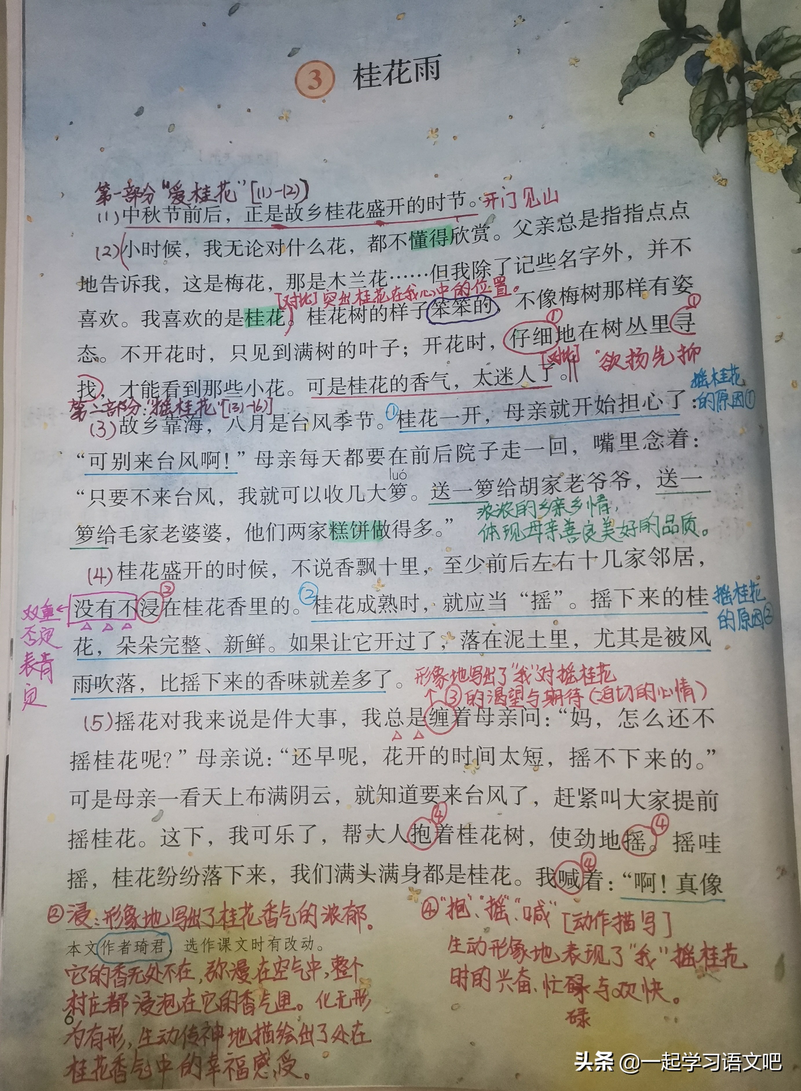 五年级上册语文第一单元必考试卷,五年级上语文单元考点梳理