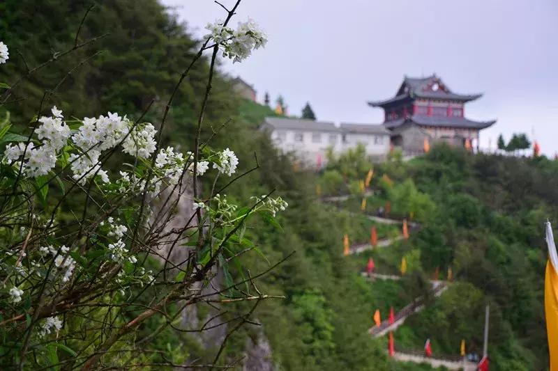 关于陇南的历史故事,讲述甘肃历史的纪录片