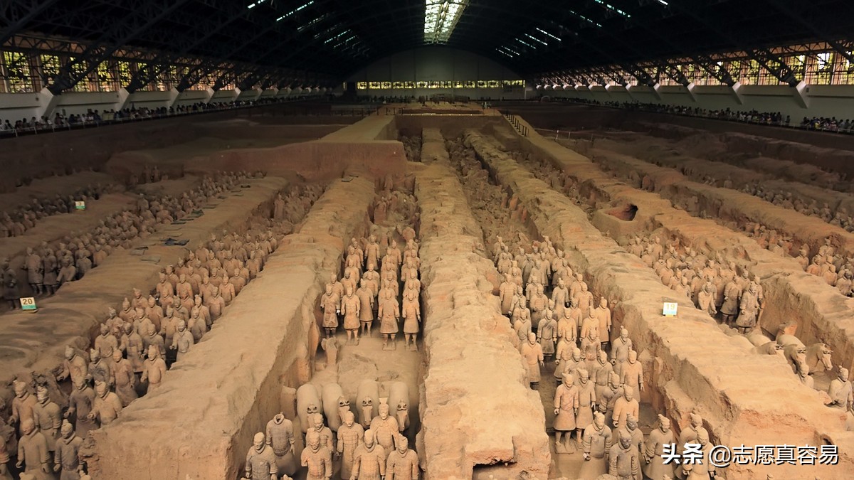 高中喜欢化学可选什么专业,高中喜欢生物选什么专业