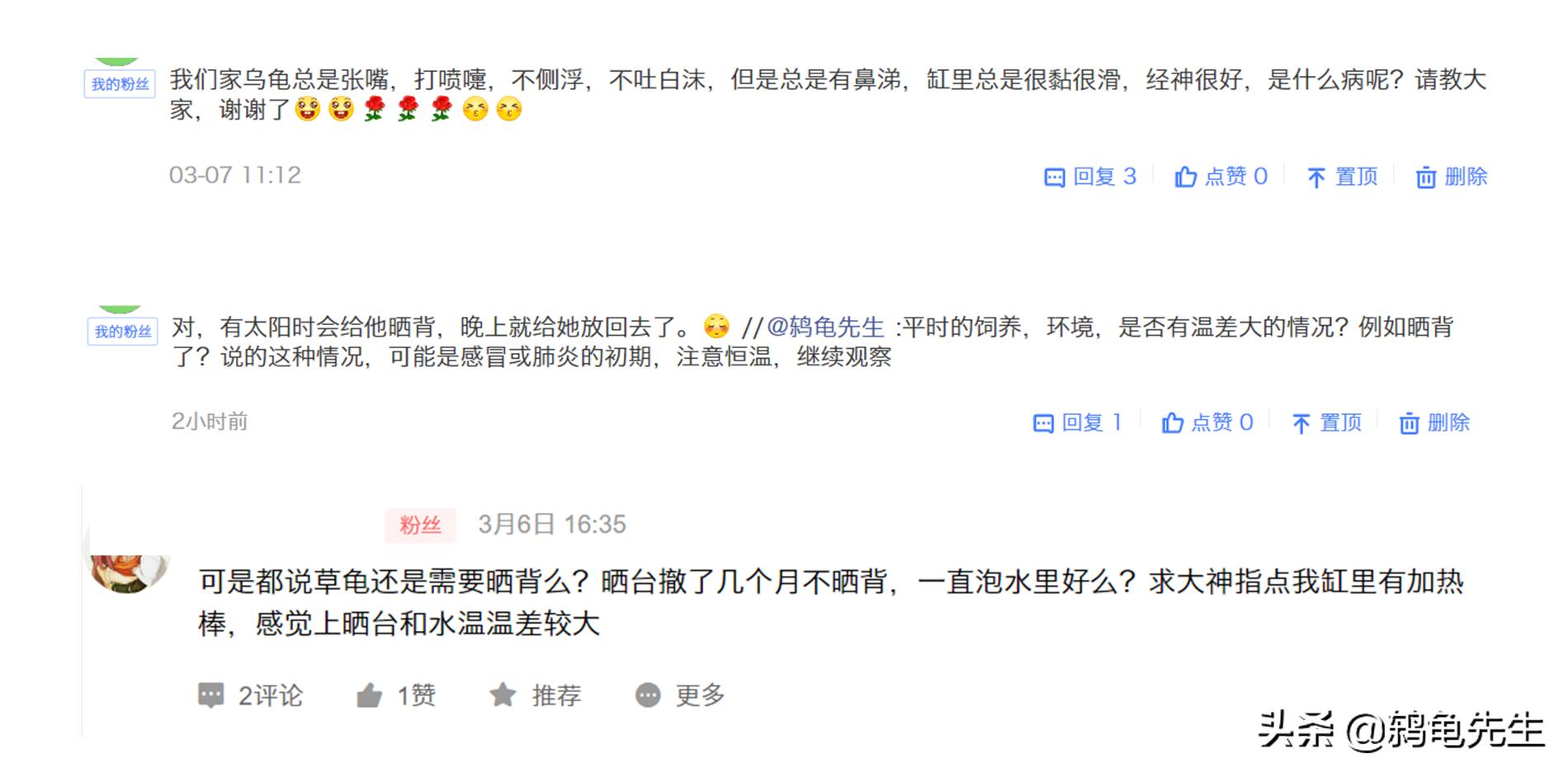 养乌龟一定要用晒背灯吗,新手养龟怎么避免乌龟生病