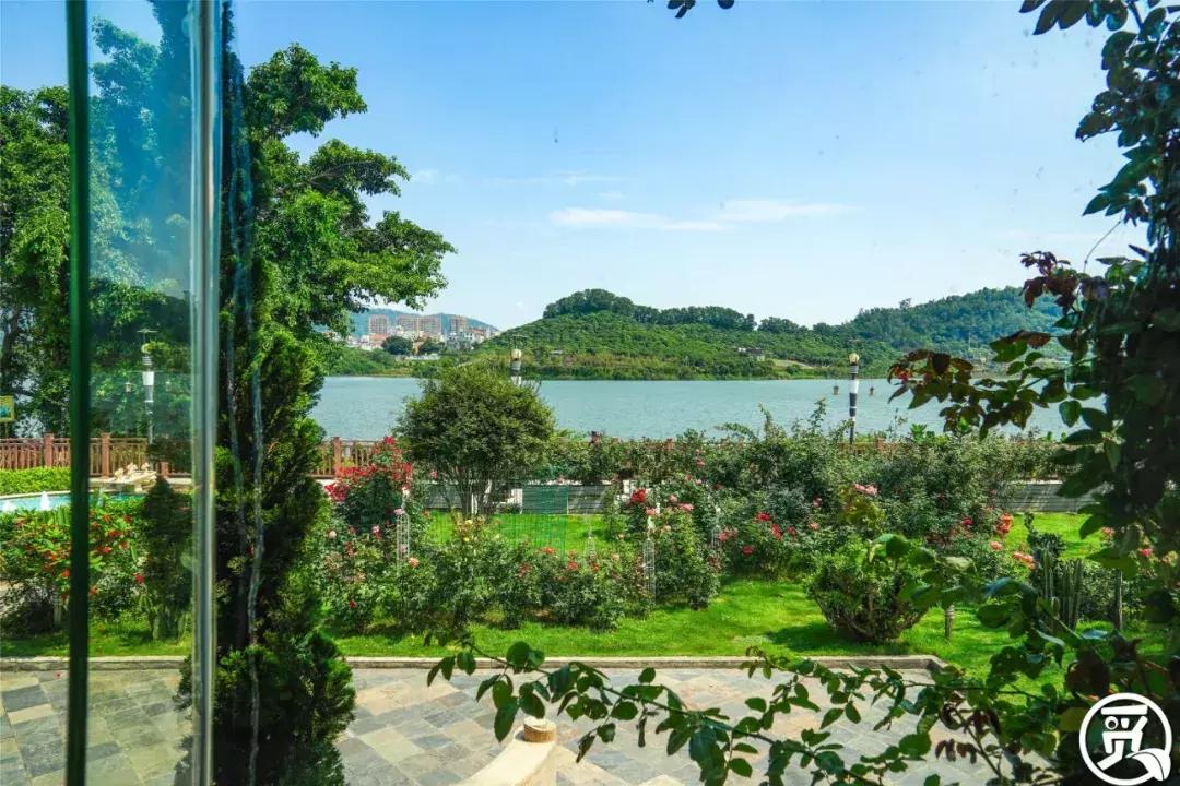 深圳「废弃染布厂」变废为宝，化身“湖畔花园”美若世外桃源！