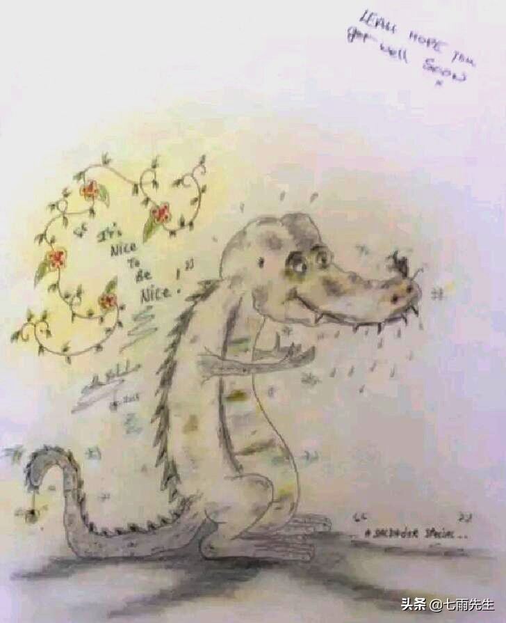 弗雷尔卓德布隆背景故事,布隆的故事