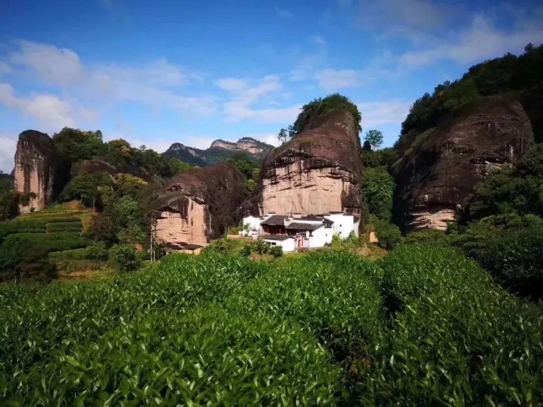 细品武夷岩茶十全肉宴,岩骨花香岩茶