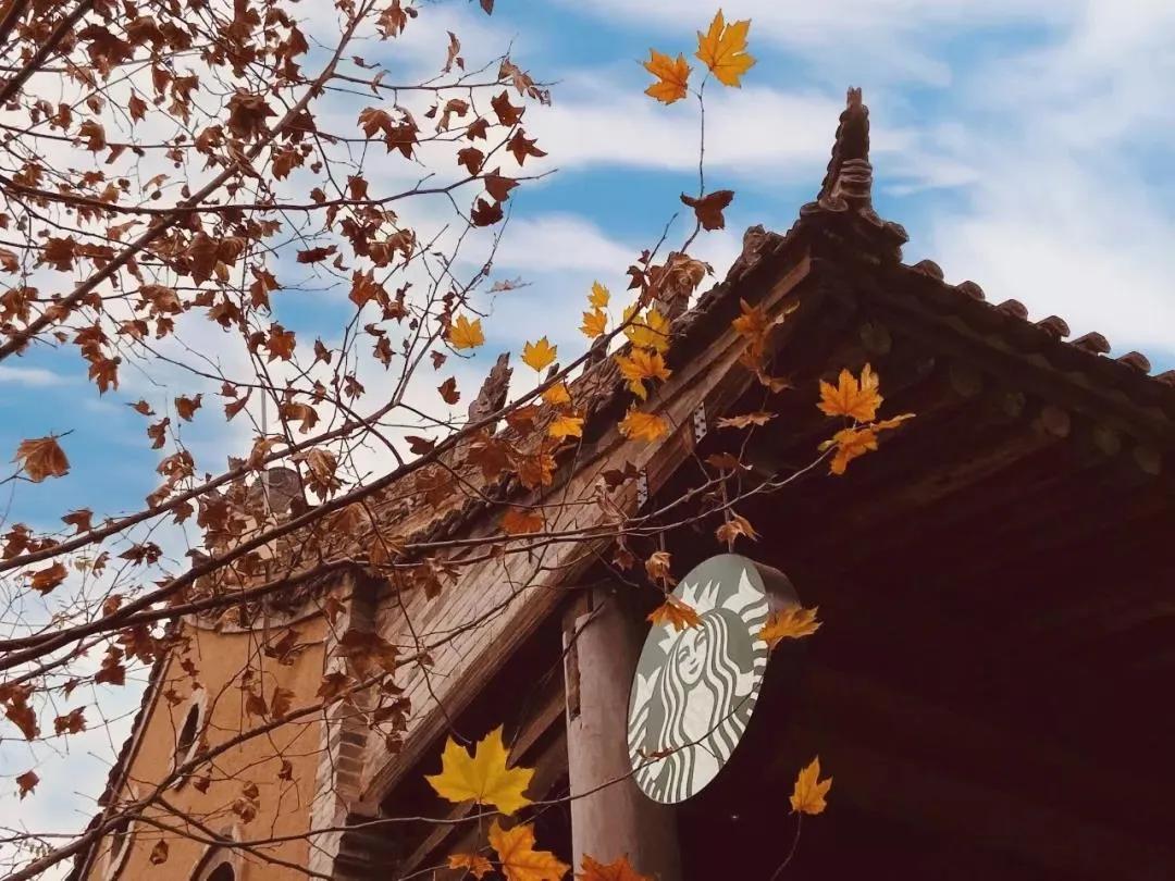 探店星巴克臻选,星巴克臻选店探店