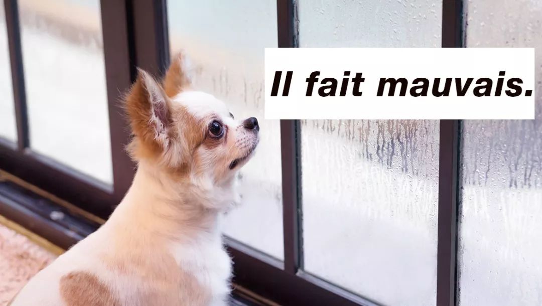 朱老师看图说法语（25）：天气｜微型法语课堂