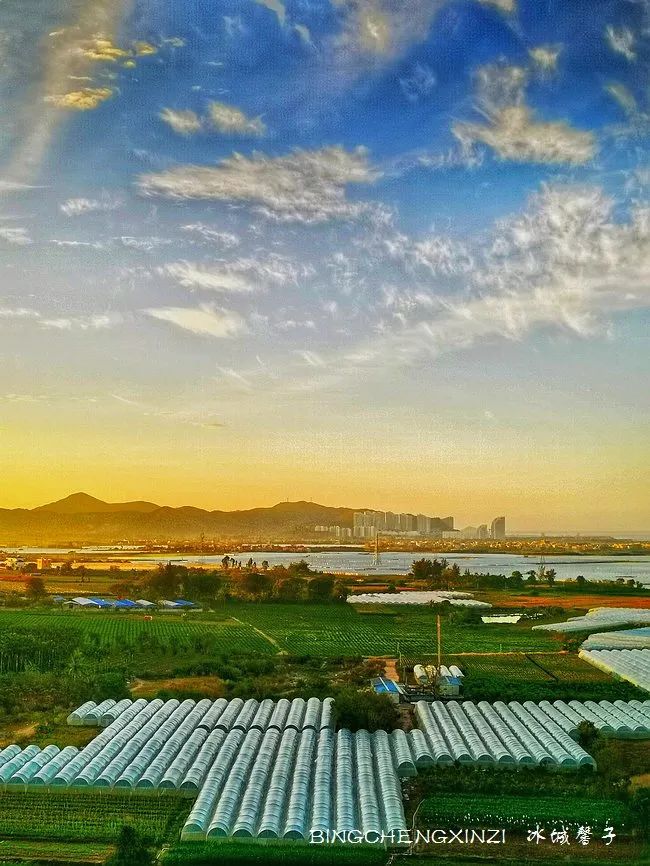 我的旅居生活90多天,我的旅居海南生活系列