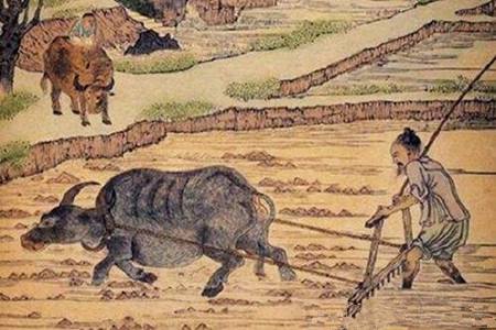 肤白才是美吗,中国人为什么白皮肤白头发