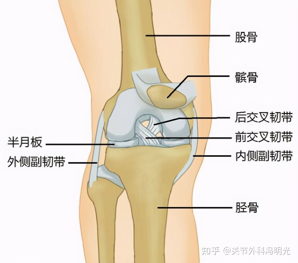 膝关节外侧副韧带肿胀怎么治疗,膝关节韧带损伤后酸胀