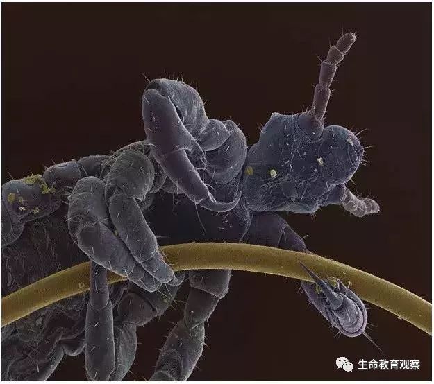 看完后，整个人都有点不对劲了（传播生物知识）