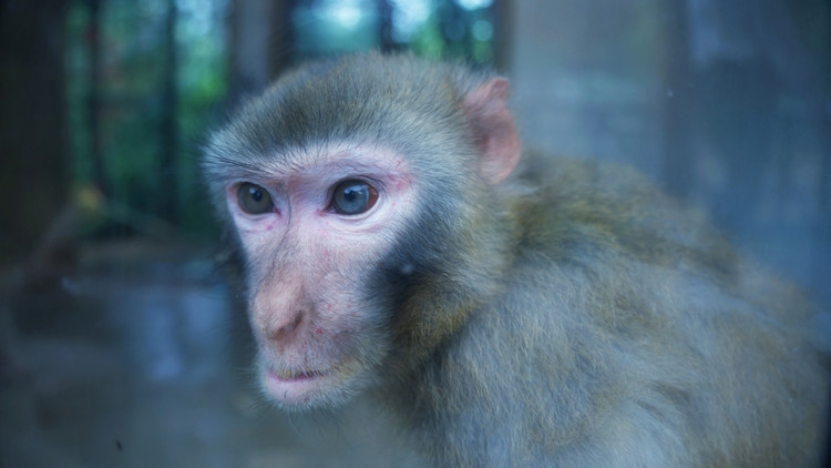茅山宝盛园周边游玩,茅山宝盛园所有游乐设施