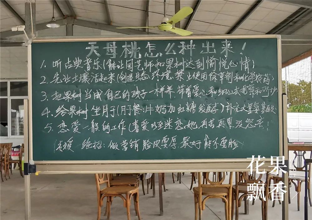 2020种什么水果最赚钱,2021种植什么水果最赚钱