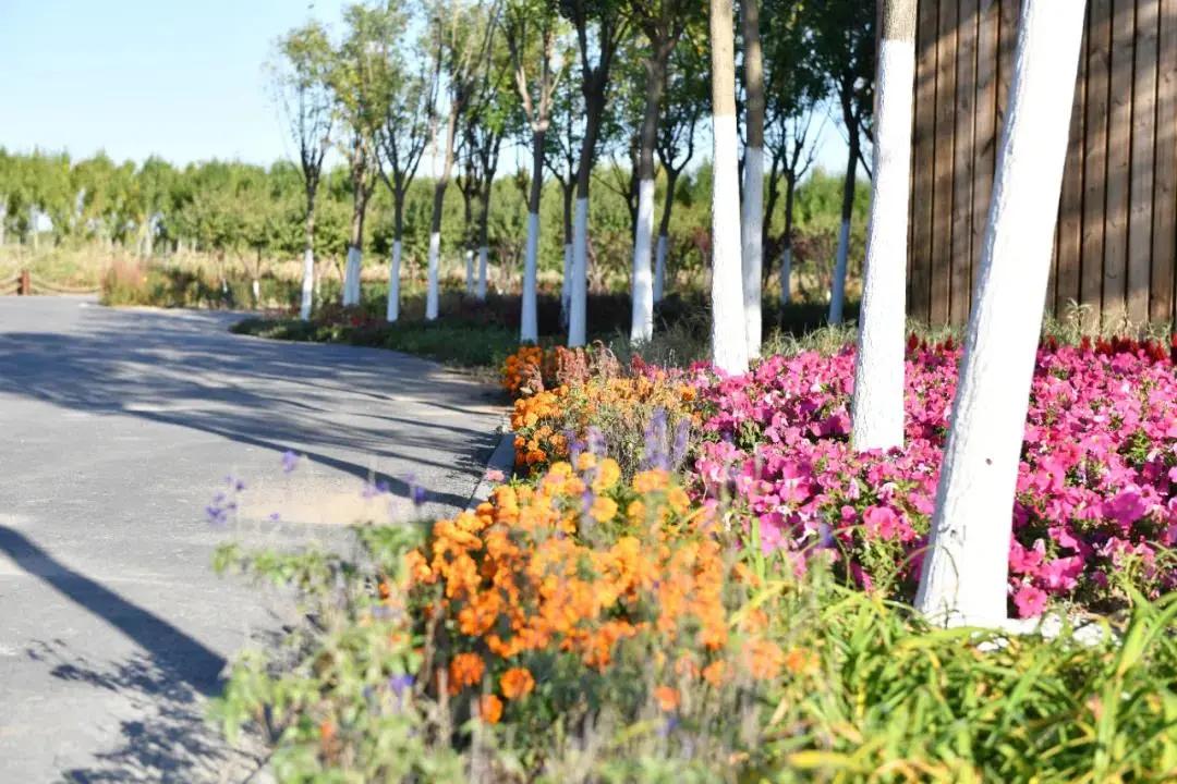 津南区打架,津南区打架视频