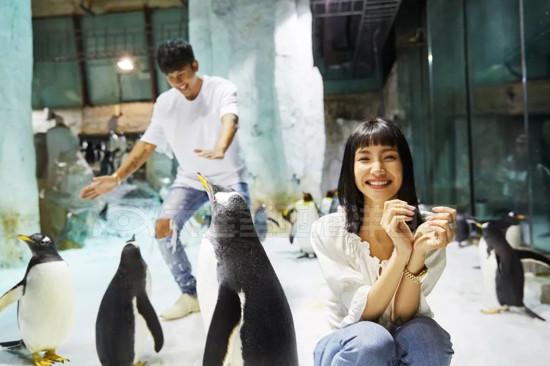 来大连必去的圣亚海洋世界,游玩攻略潮玩街区大连高新万达