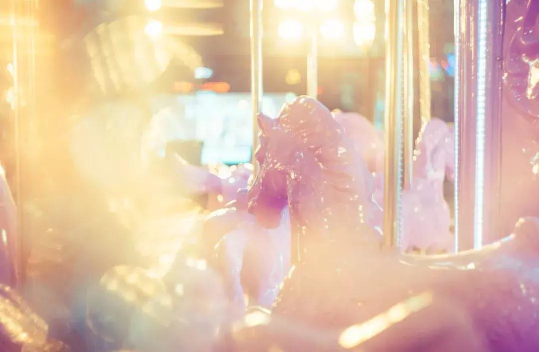 成都白鹭湖一日游详细攻略,白鹭湖一日游攻略图文