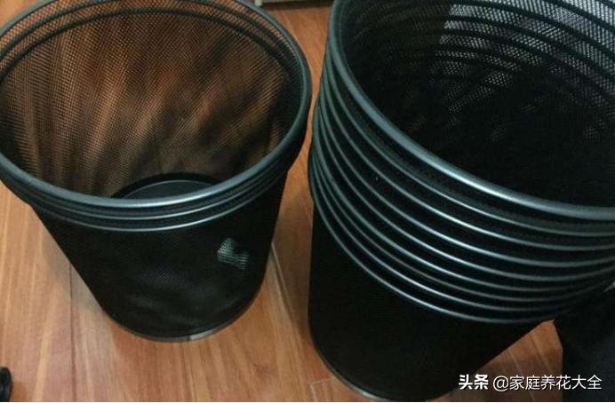 什么垃圾养花最好用又好看,垃圾桶种什么花最好