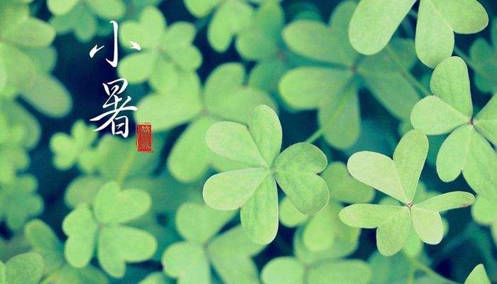 幼儿园小暑节气的特点和风俗,小暑的由来和风俗幼儿版