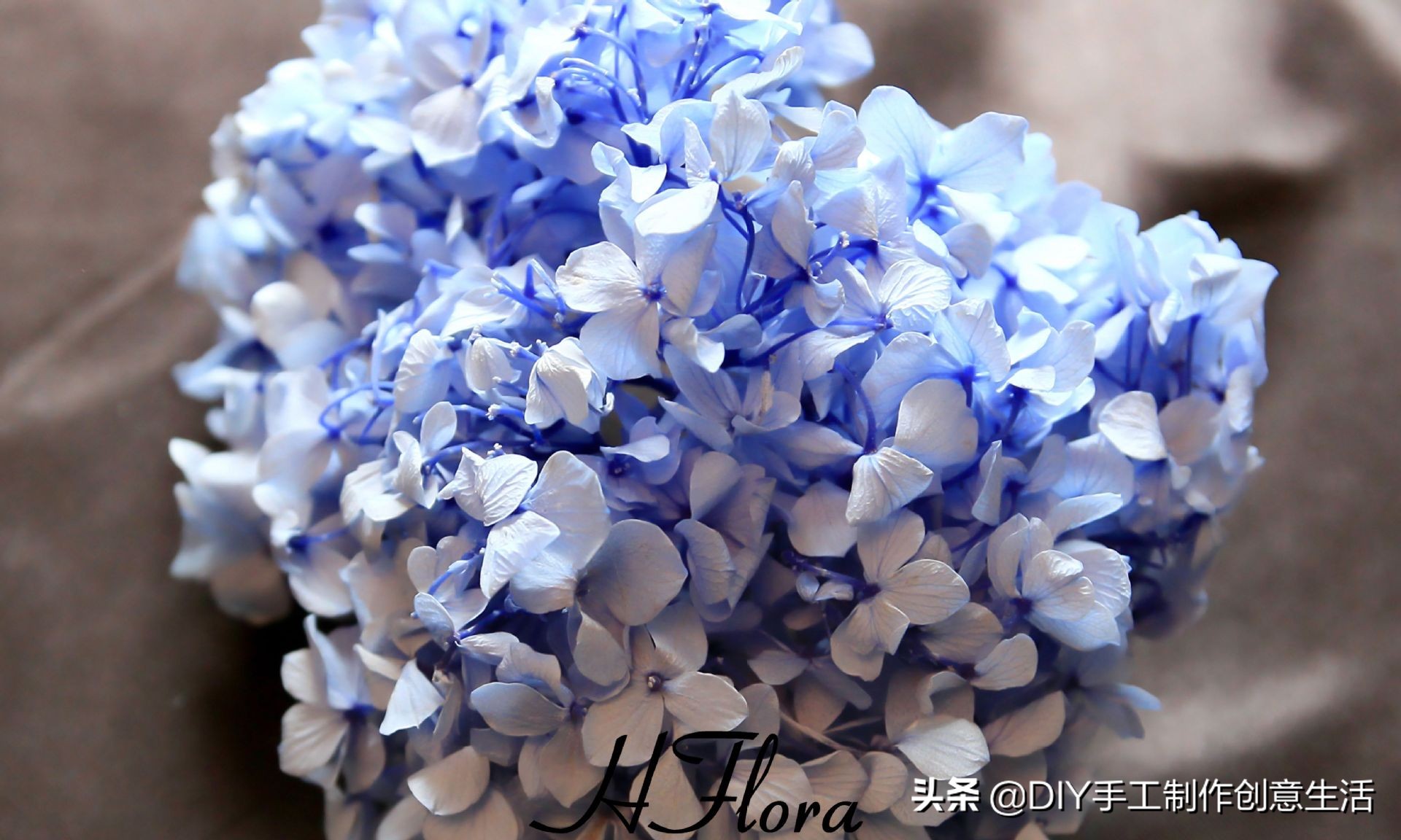 diy手工永生花制作全过程,diy永生花怎么做的