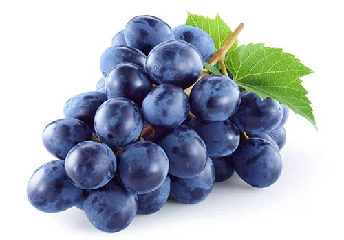 小狗拉尿有什么预兆,怎么区分小狗是尿血还是生理期