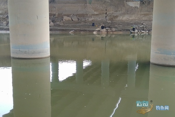 小杂鱼特别多怎么钓鲢鳙,钓鲢鳙怎么避开小杂鱼