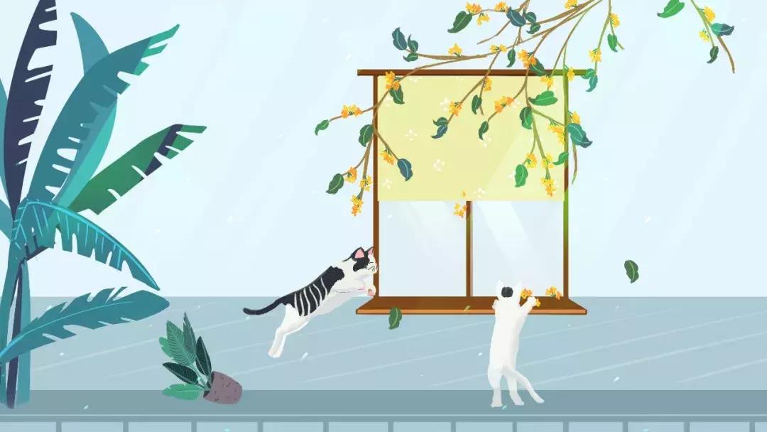 小学语文常见修辞手法句子,小学语文修辞手法作用及例句分享