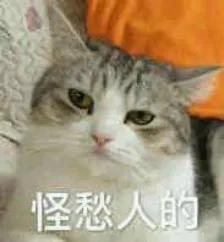 带钱过海关会被没收吗,过海关被带进小黑屋