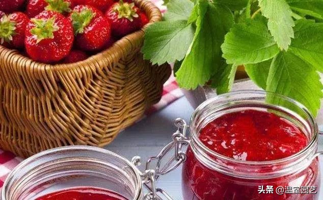 草莓滞销危机,草莓滞销卖不出去了吗