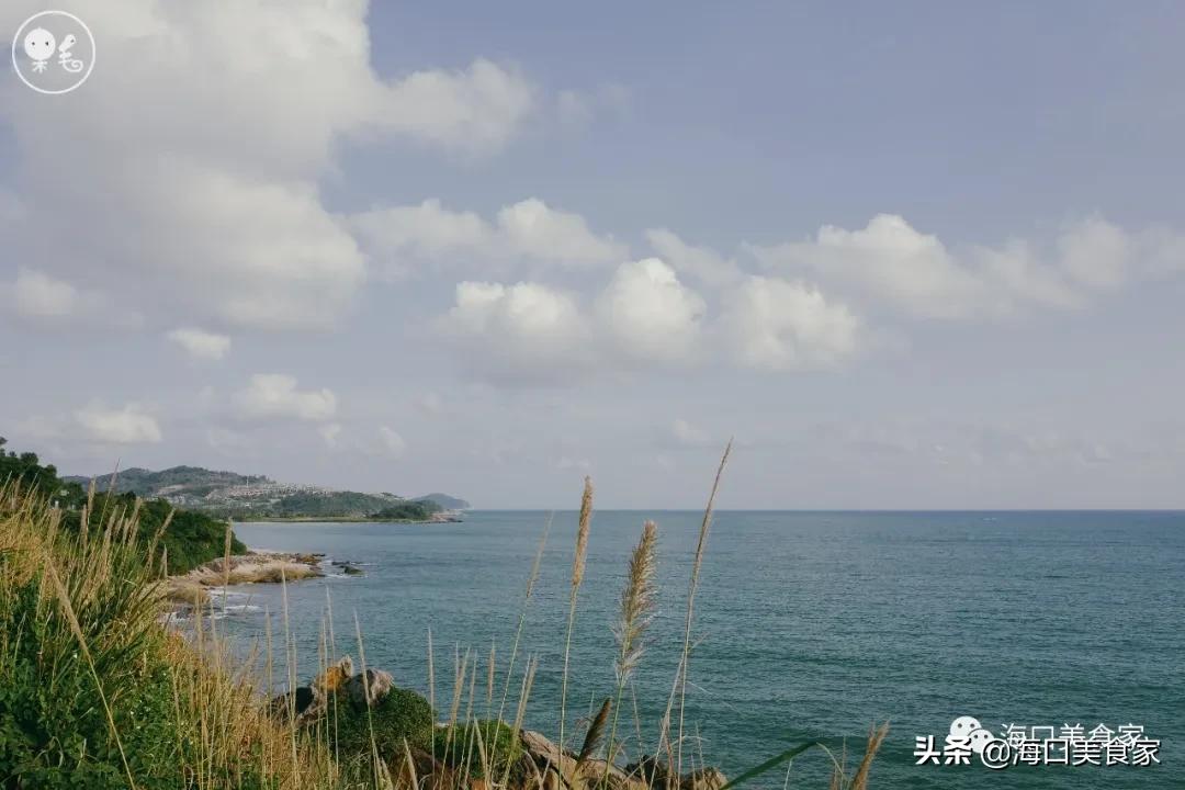 海南万宁兴隆美食攻略,海南万宁兴隆镇有什么特色小吃